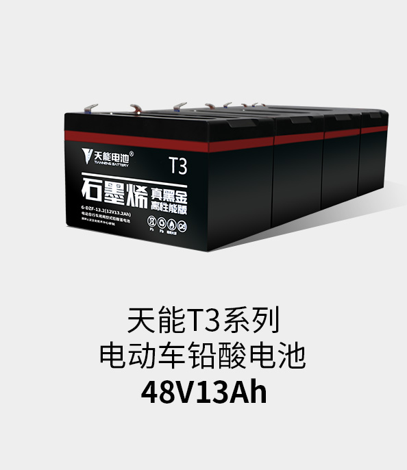 游艇会ythT3系列48v13ah